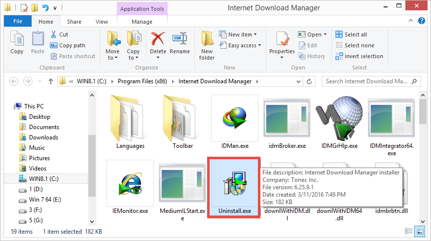 Internet Download Manager uninstaller (2)